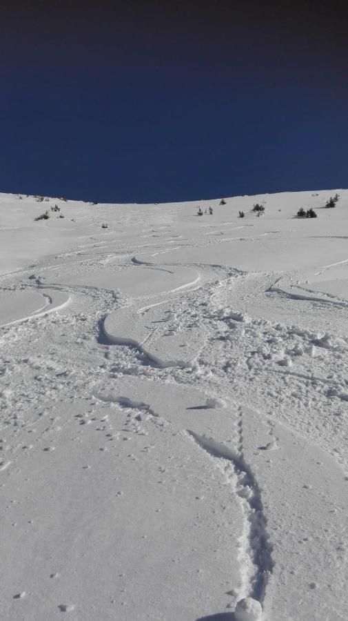 Ferienwohnung Wohlfahrter Bad Mitterndorf Exteriör bild