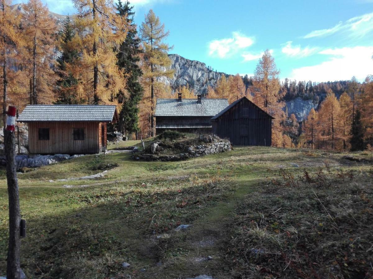 Ferienwohnung Wohlfahrter Bad Mitterndorf Exteriör bild